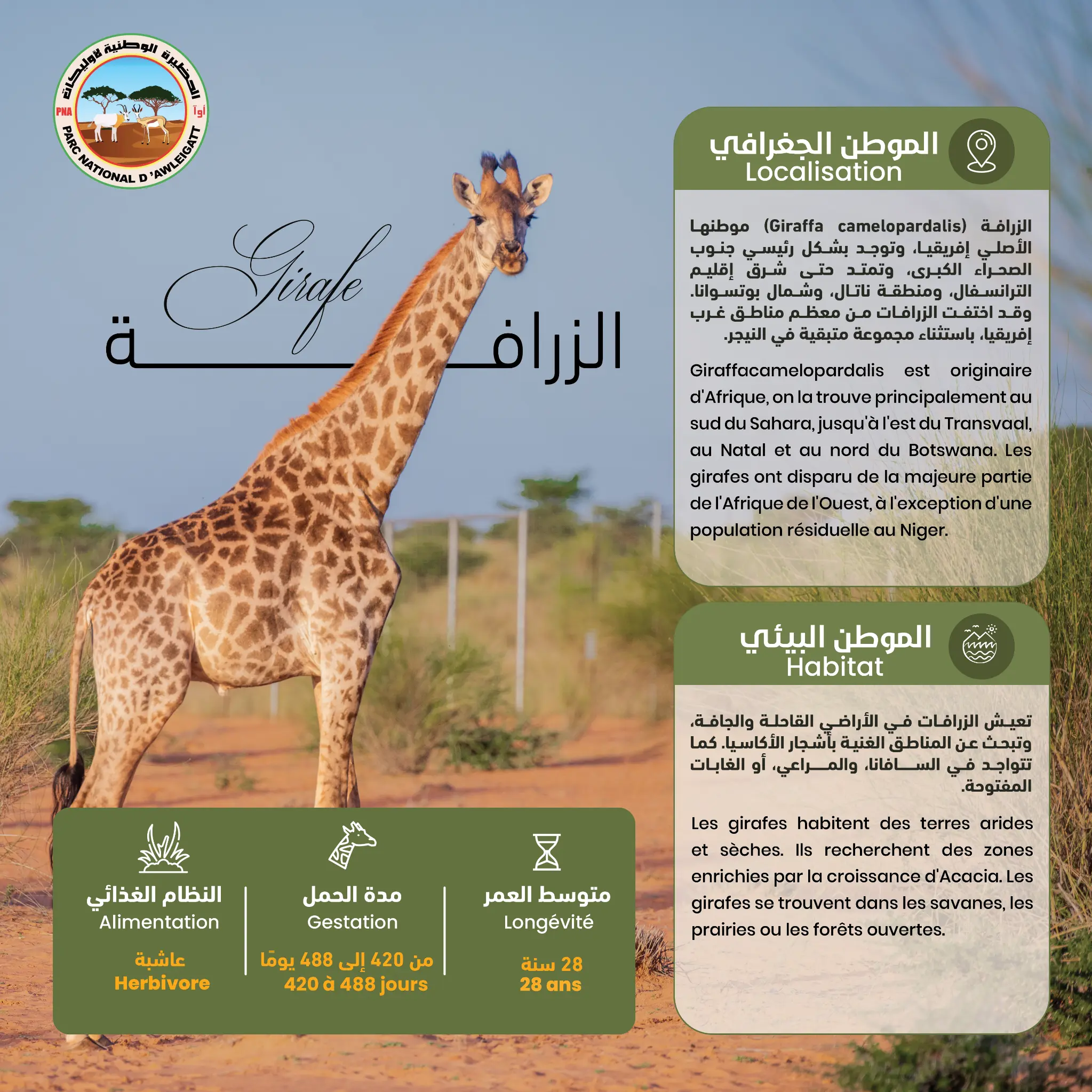 عمل تصميمي مختار 1
