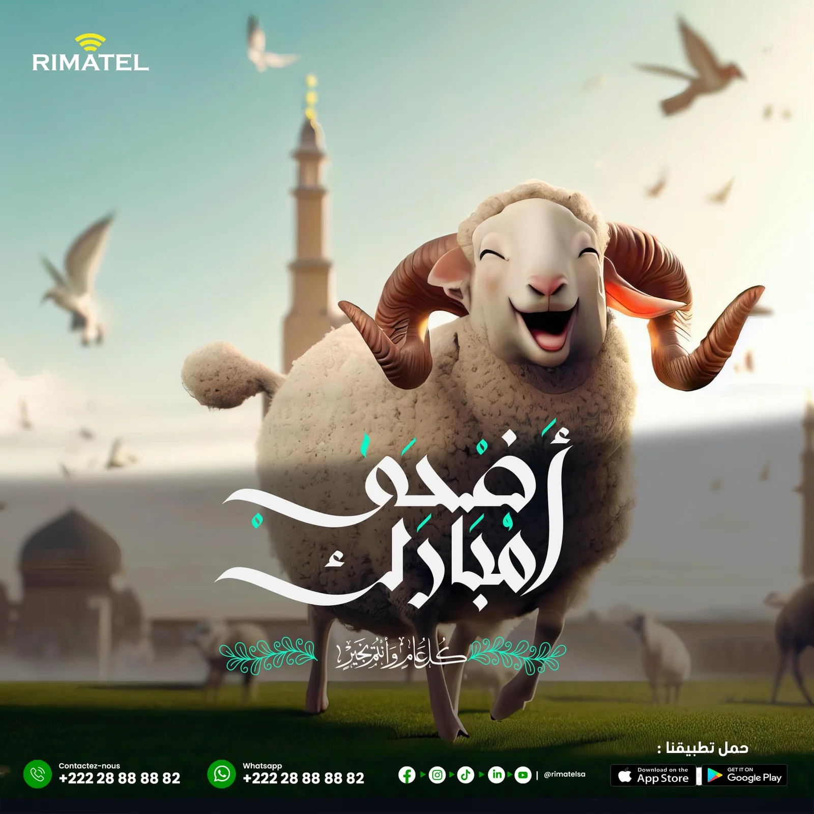 عمل تصميمي مختار 11