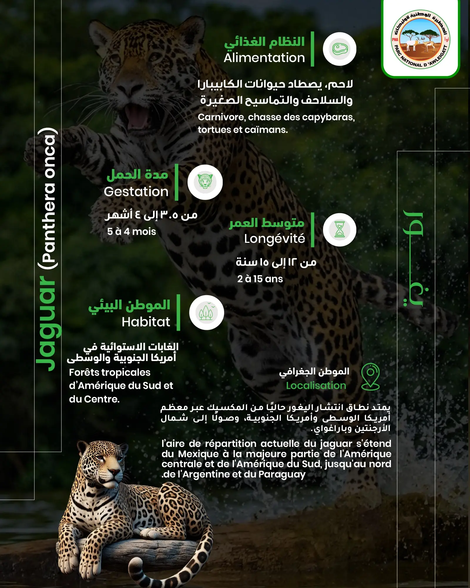 عمل تصميمي مختار 14